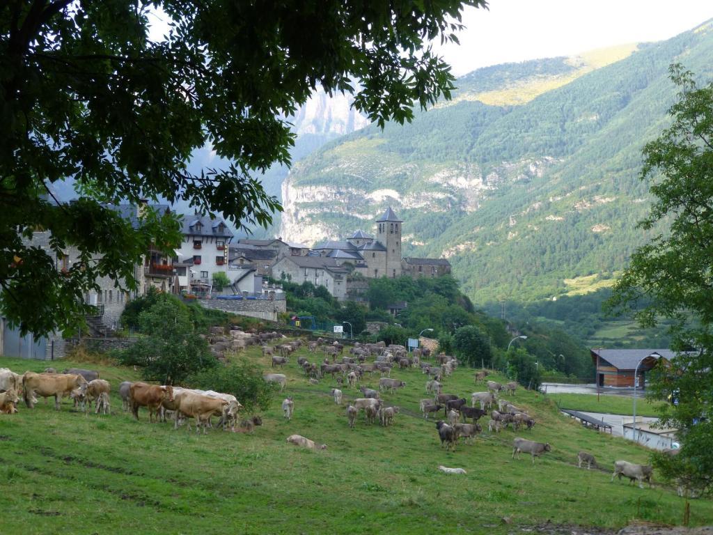 Hotel Bellavista Ordesa Torla Kültér fotó